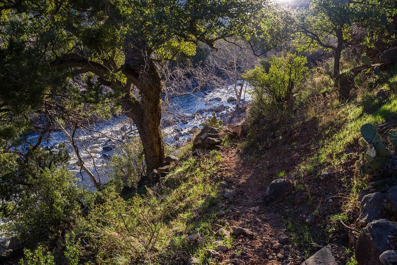Woods Canyon Trail No. 93