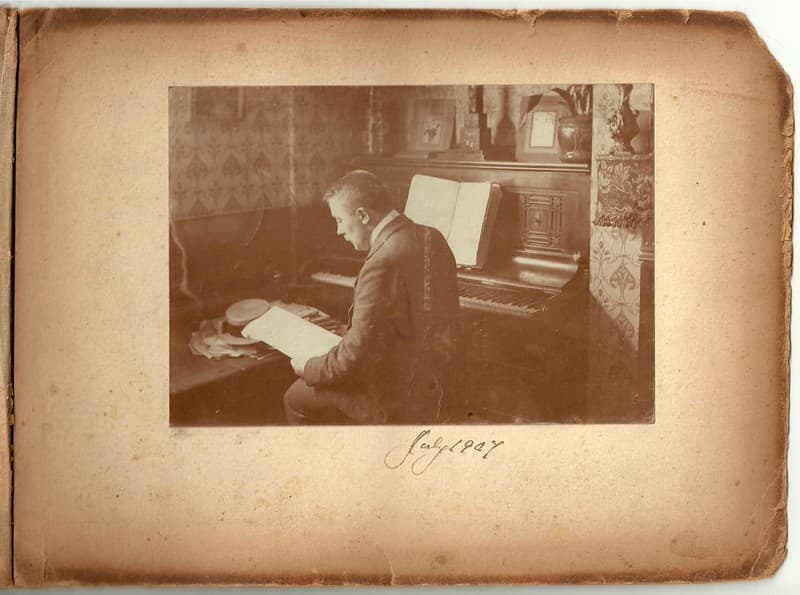 Aspidistra, edwardian, interior