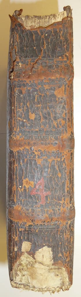 Bindings, gcnc, identified