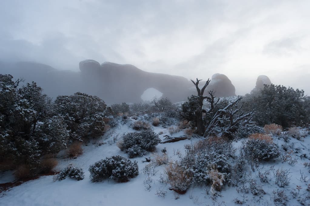 Foggy Morning, North Window