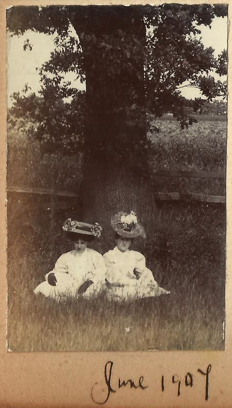 Edwardian, family, hook