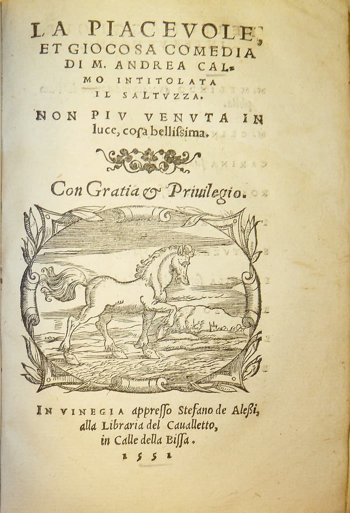 Device of printer Stefano Alessi of Venice