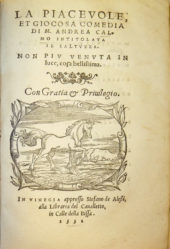 Device of printer Stefano Alessi of Venice