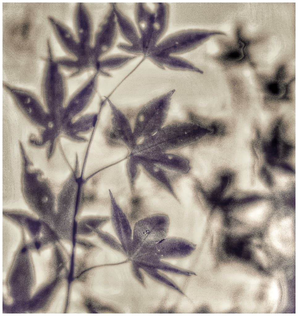 Fall abstract