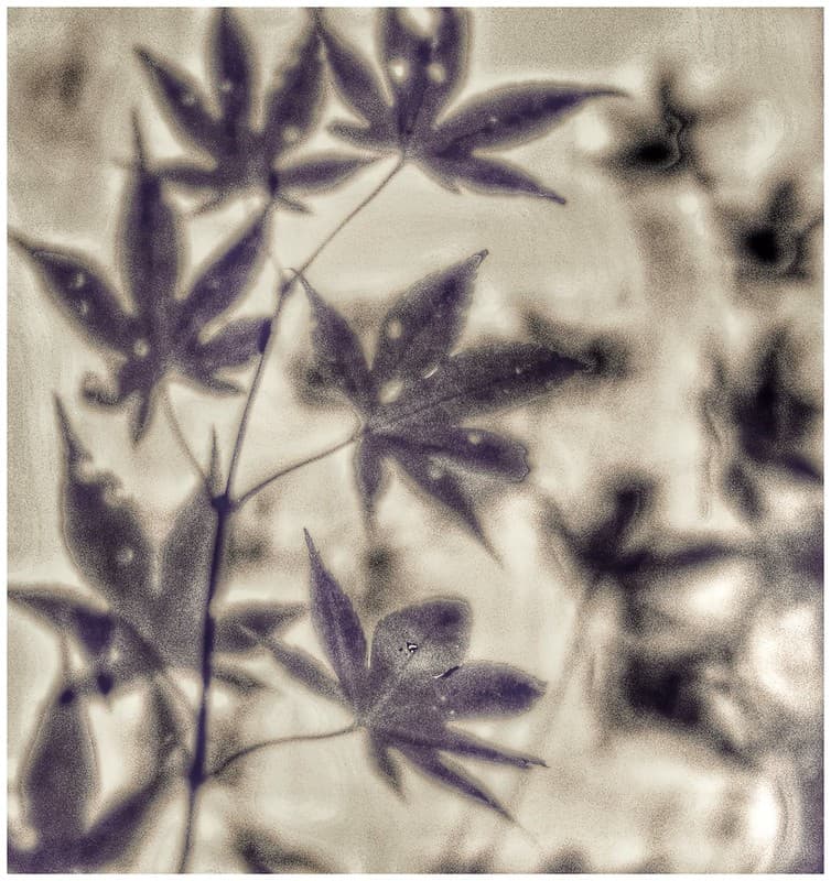 Fall abstract