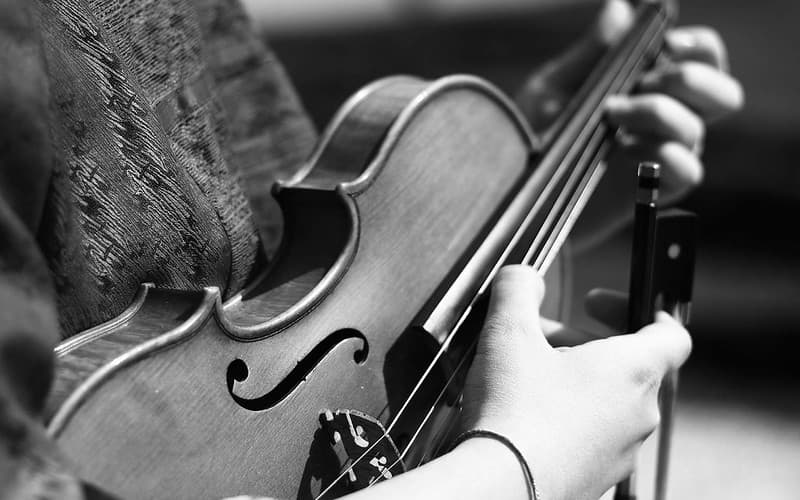 Violin