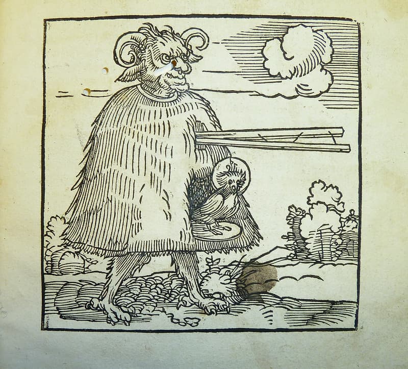 Behamhanssebald, gcvh, herrgottjohannd