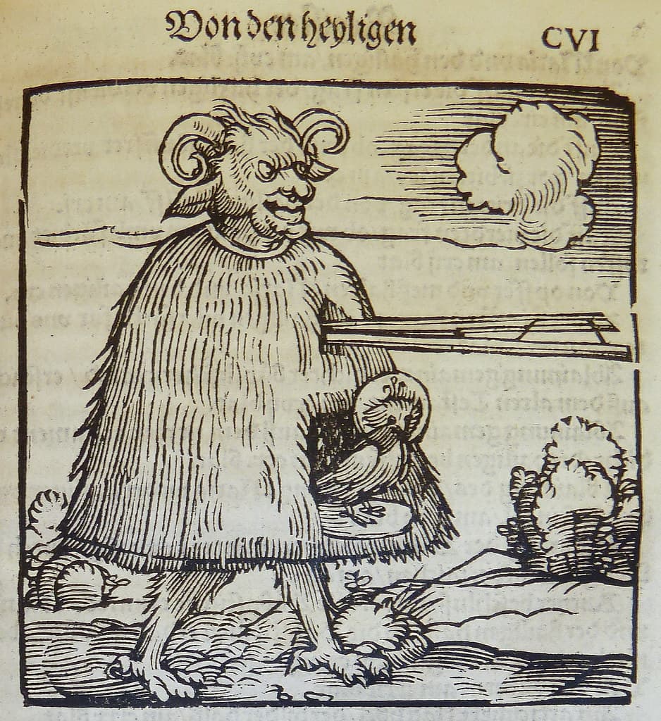 Augsburggermany, behamhanssebald, birds