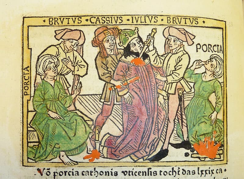 Brutusmarcusjuniusbc, caesarjulius, identified