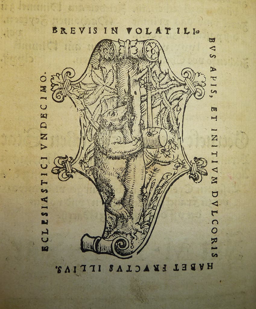 Woodcut printer's device of Mathias Apiarius of Bern