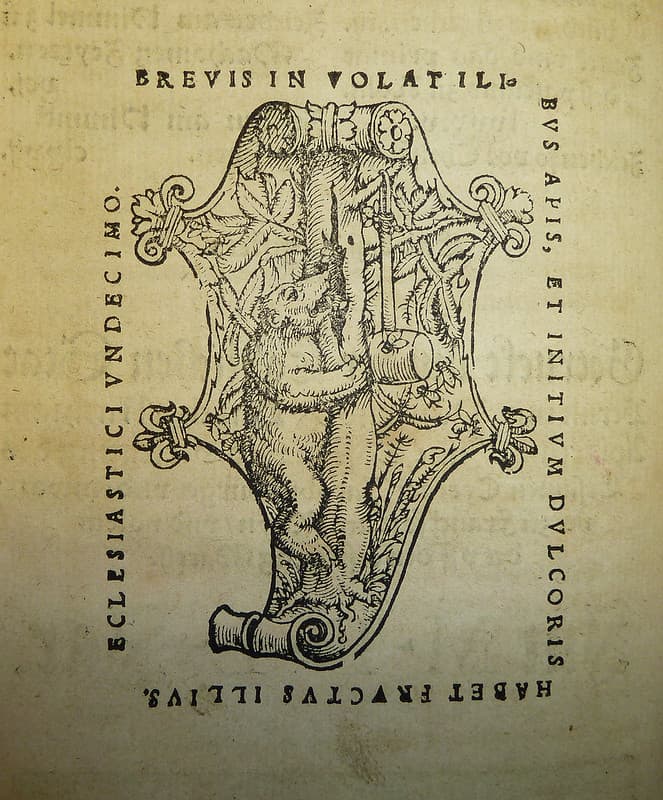 Woodcut printer's device of Mathias Apiarius of Bern