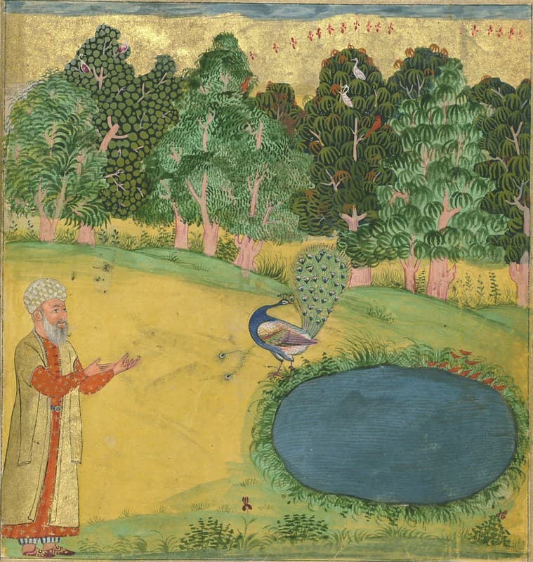 Book, codex, colophon