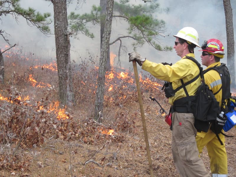Fire Pros Monitor Burn