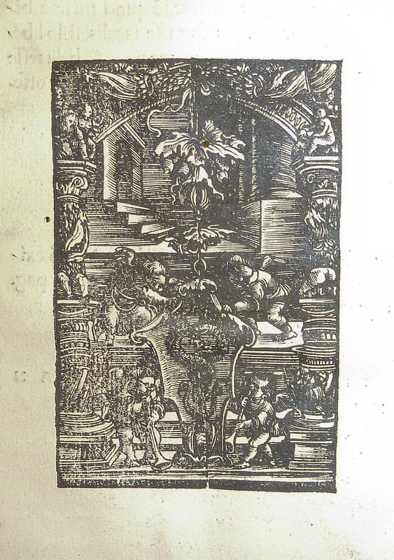 Woodcut printer's device of Johann Froben of Basel