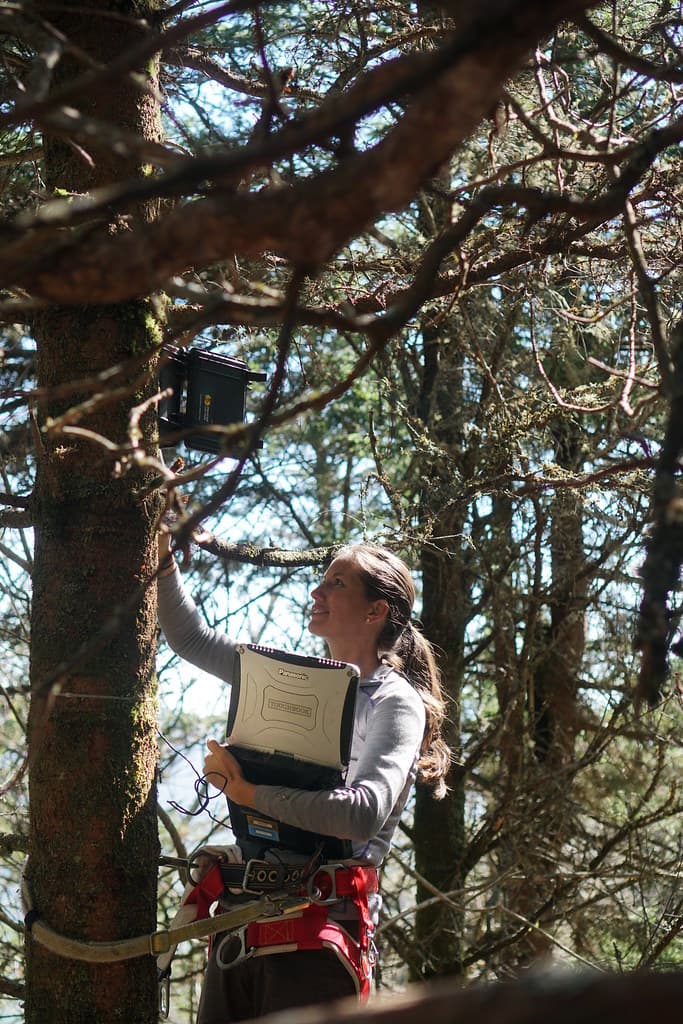 Sue Cmaeron checking a data logger