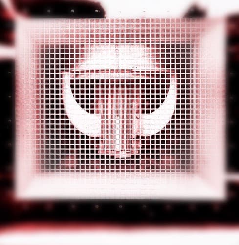 Ghost in the Machine