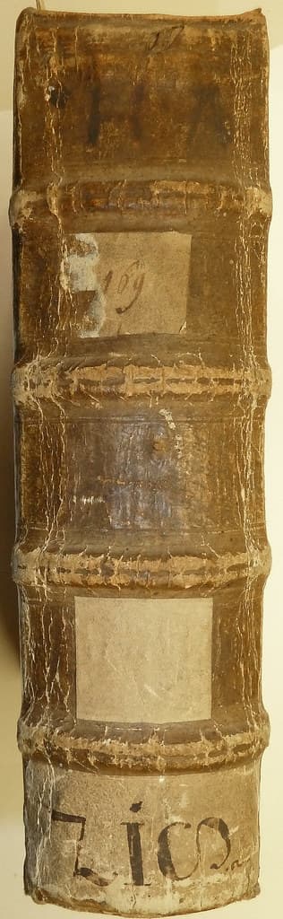 Spine with ms. shelf-mark labels