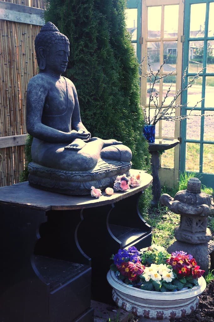 Stavenw, agardenforthebuddha, animals
