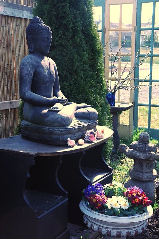 Stavenw, agardenforthebuddha, animals