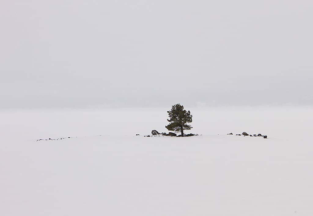 Carrington Island and Yellowstone Lake