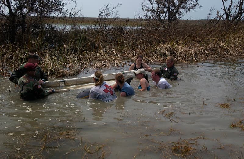 Dolphin Rescues During 2005 Hurricane Season