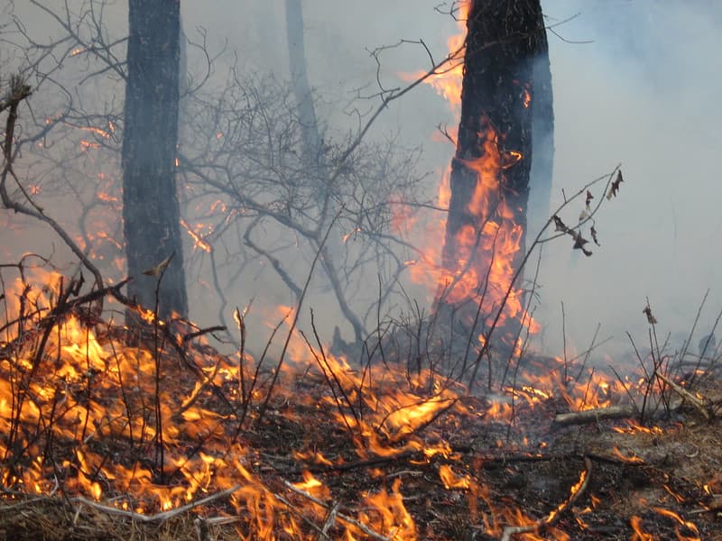 Burning for People and Wildlife