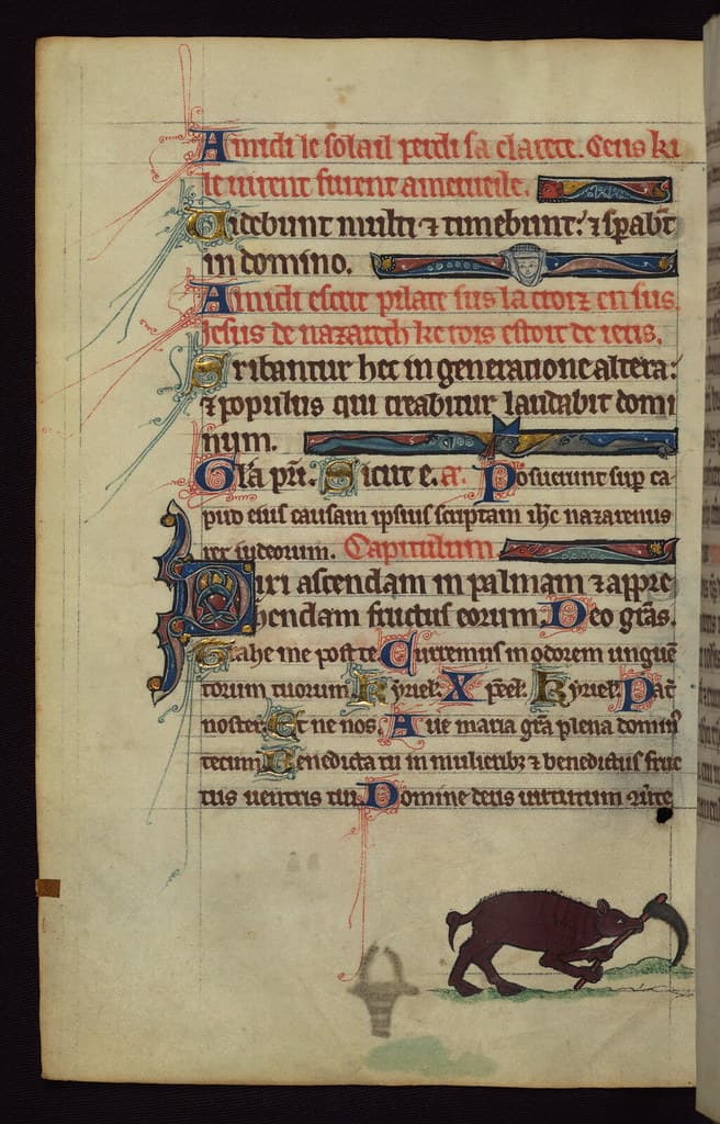 Book, century, christian
