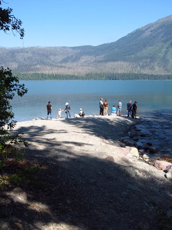 Lake McDonald Lodge Shoreline (across the creek) - 6