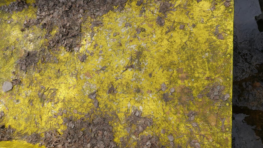 Texture