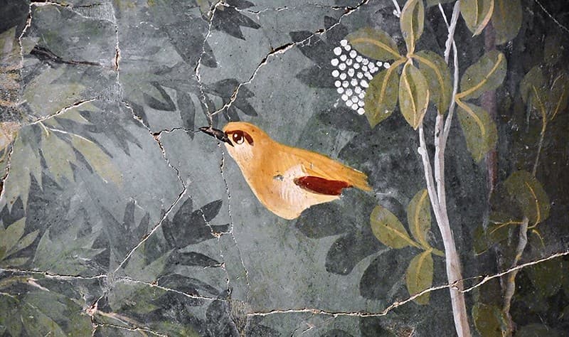Archaeologicalmuseum, bird, garden