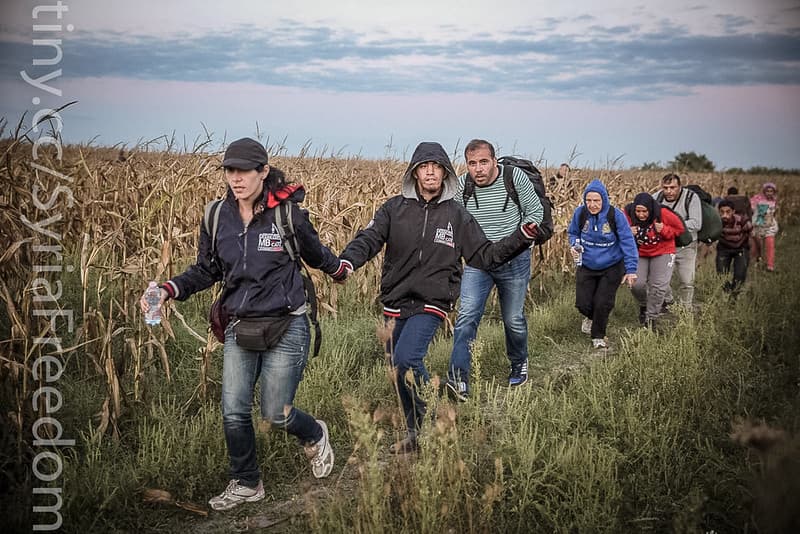 Angelamerkel, assadcrimes, aylankurdi