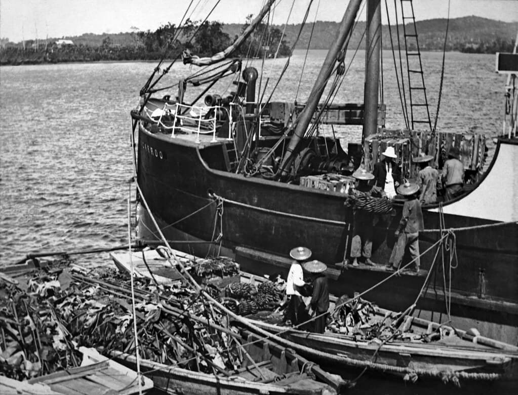 Bananagrowers, carroo, chinese