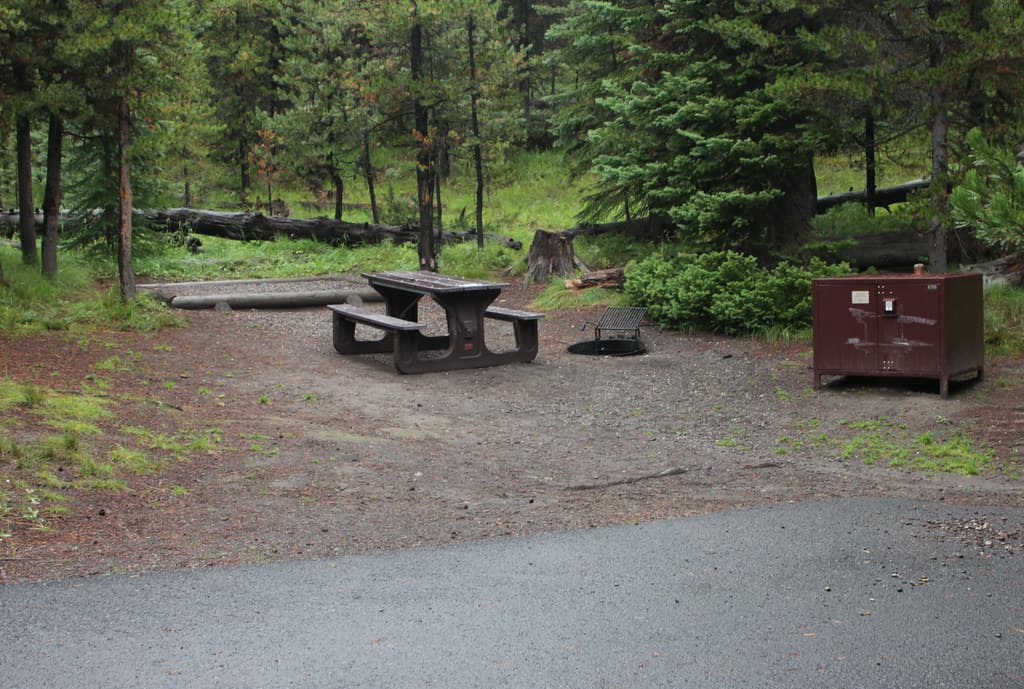 Bridge Bay Campground site