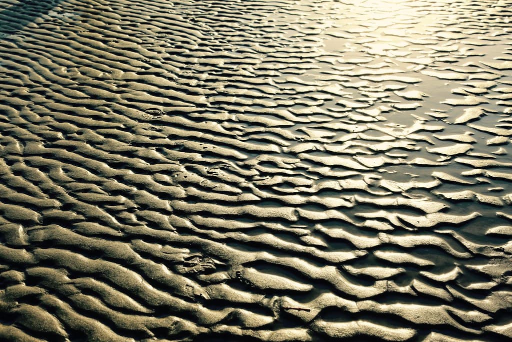 Natures Magic Patterns of Gold