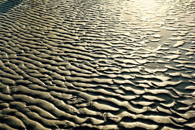 Natures Magic Patterns of Gold