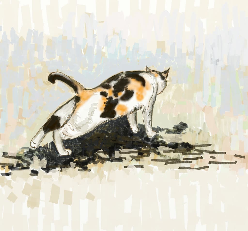 Cat in stretching