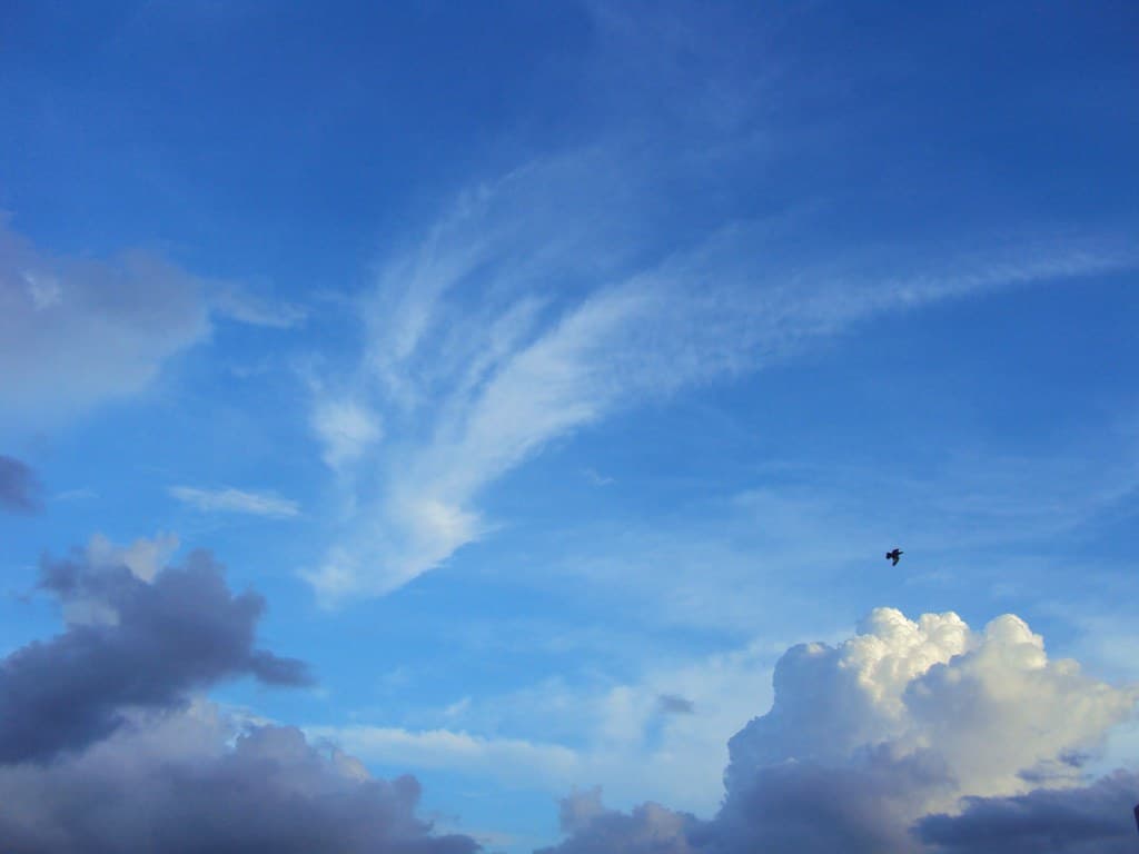 Cloud plume, comet-like