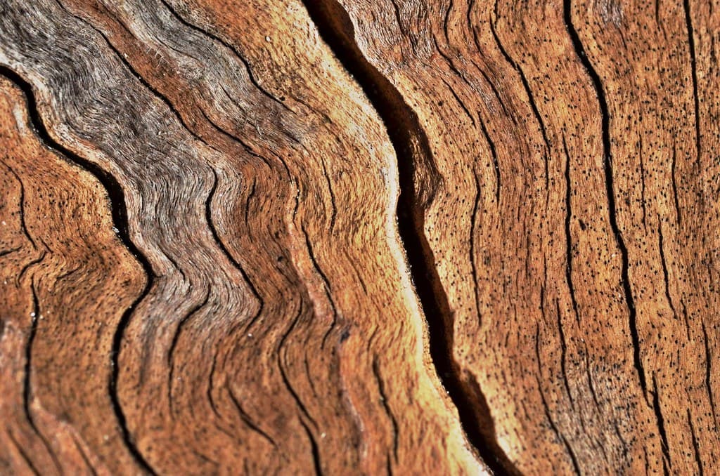 Texture