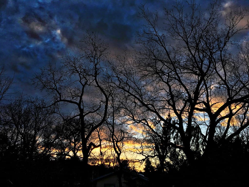 Under A Dreamer's Sky