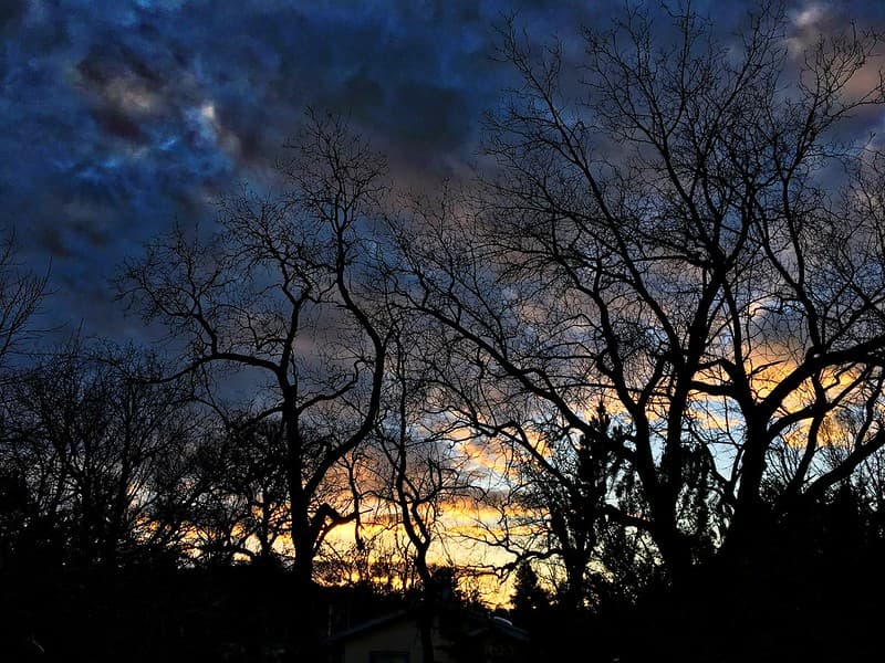 Under A Dreamer's Sky