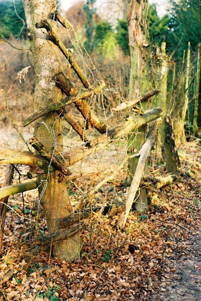 Praktica MTL 3 + Industar-61 L/Z - Barbed Wire Study 3