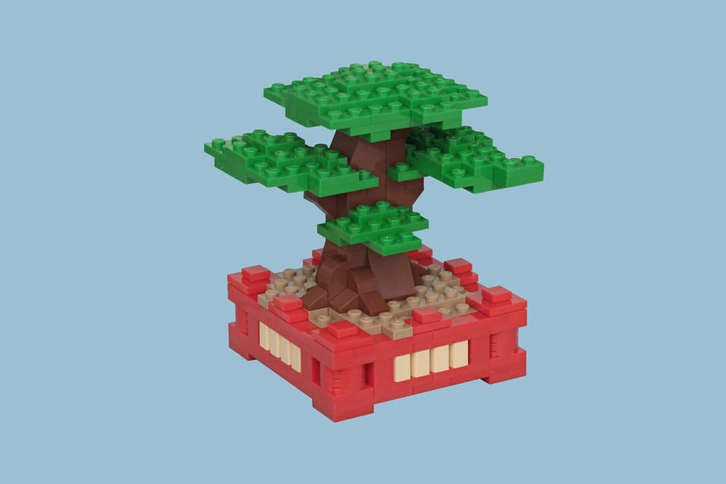 Bonsai Tree