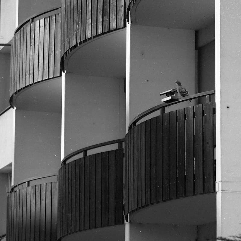 Kiev 4 + Jupiter-11 135/4 - Pigeon and Balconies
