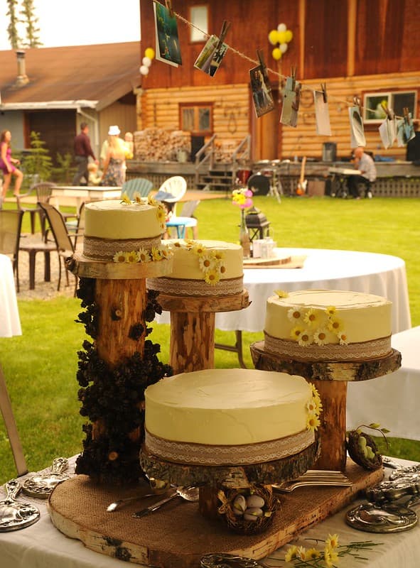 Alaska, birdsnestsblueeggs, cakes