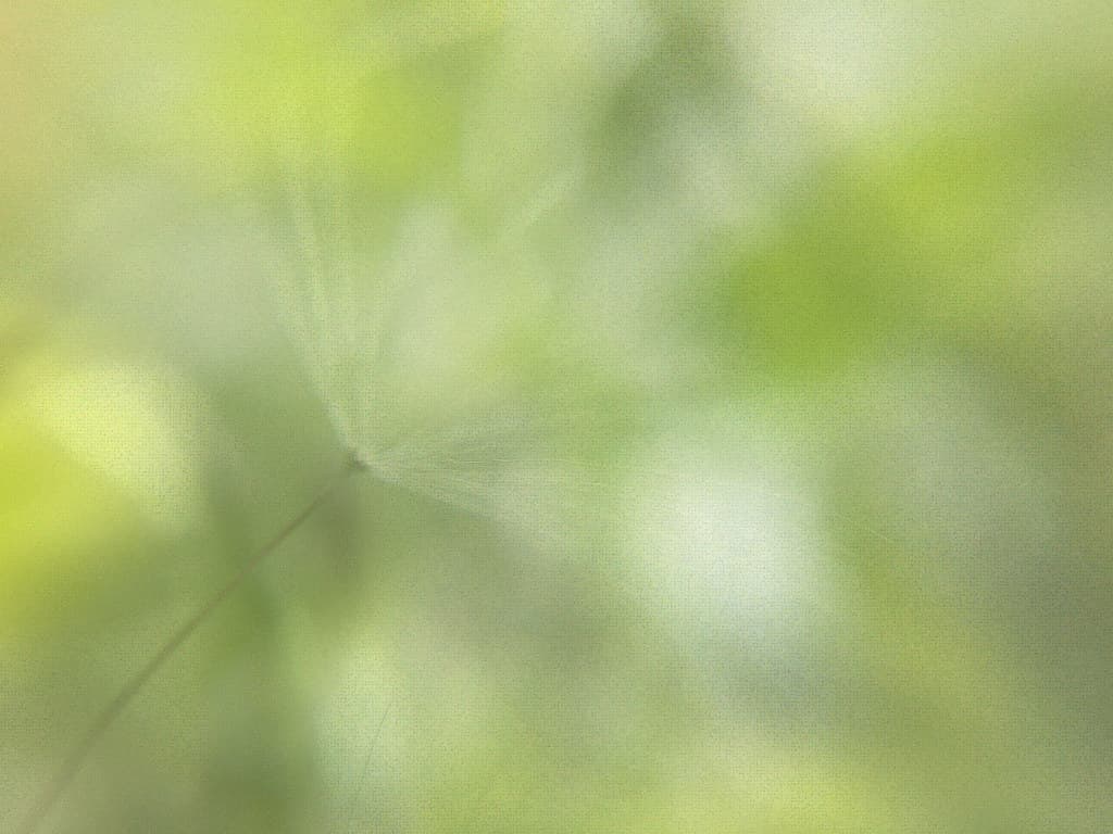 Free texture - Summer Whispers