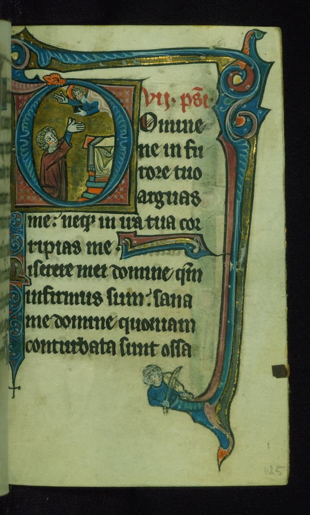 Thcentury, book, bookofhours