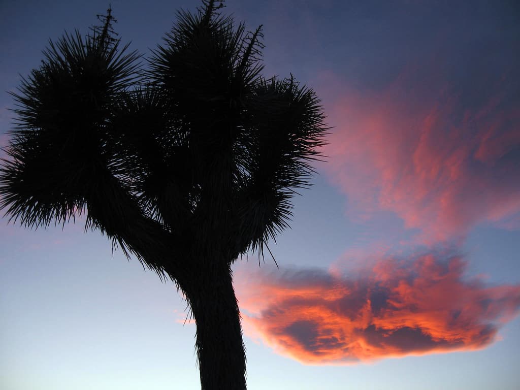 Sunset cloud