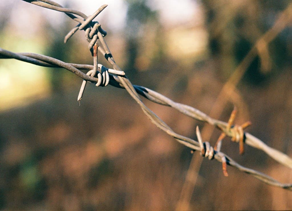 Praktica MTL 3 + Industar-61 L/Z - Barbed Wire Beauties