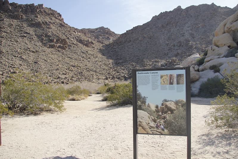 Rattlesnake Canyon Trailhead; Twentynine Palms, CA