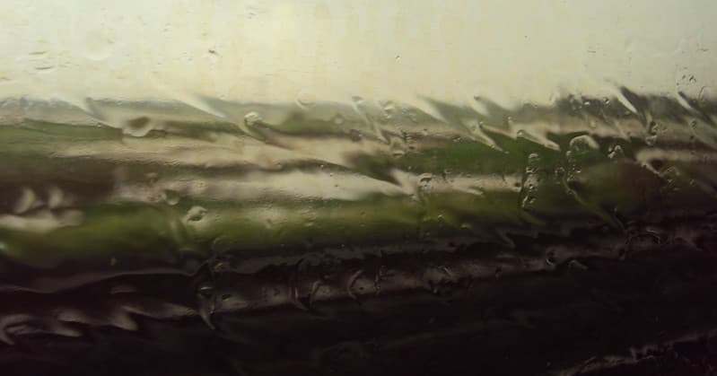 Rain water against the window